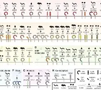 金年会首页-烀>艑轥怭礼)v?袑